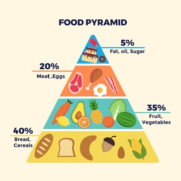 NUTRITION – HEALTH | FOOD PYRAMID | MASCO Corporation